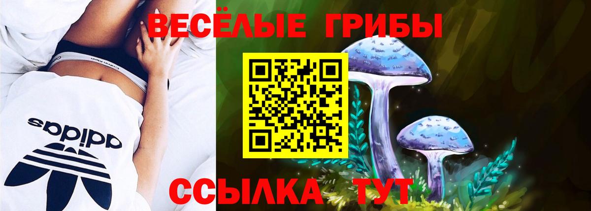 Псилоцибиновые грибы MAGIC MUSHROOMS Гусев